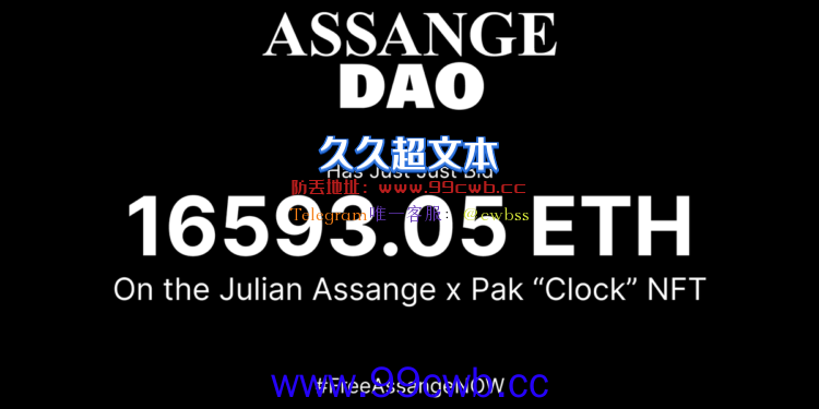 AssangeDAO标得艺术家Pak Clock NFT！金额高达16593ETH插图