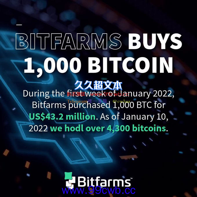 北美矿企Bitfarms逢低加仓！4320万美元增持1000枚比特币插图