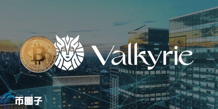 Valkyrie拟推新ETF VBB！追踪特斯拉l等持有比特币的上市企业插图