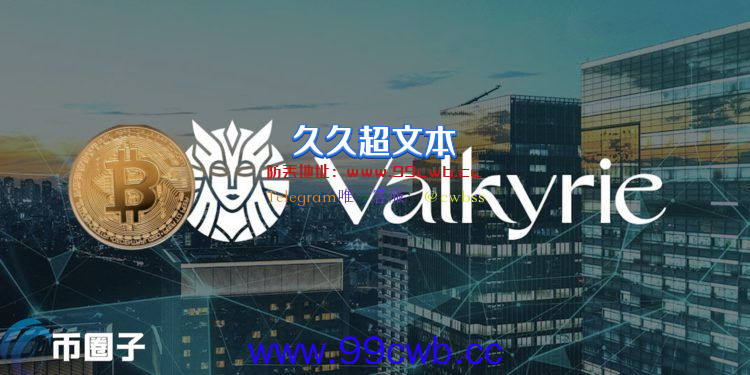 Valkyrie拟推新ETF VBB！追踪特斯拉l等持有比特币的上市企业插图