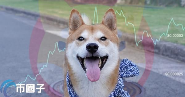 鲸鱼抄底999亿枚SHIB！Travala将接受柴犬币支付 Bybit开放交易插图