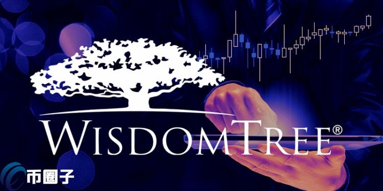 不限BTC、ETH！WisdomTree合推新加密指数纳入DeFi、元宇宙插图