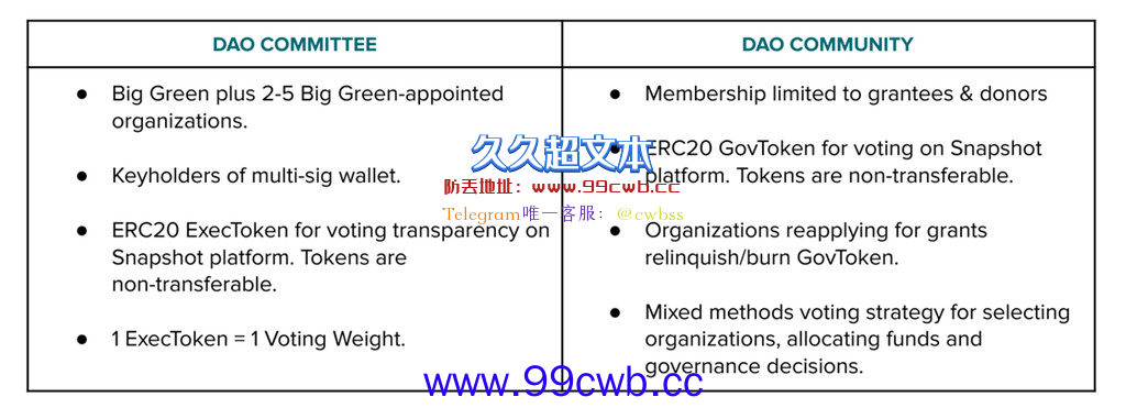 方舟女股神力挺马斯克亲弟 全美首个慈善DAO Big Green开放申请插图1