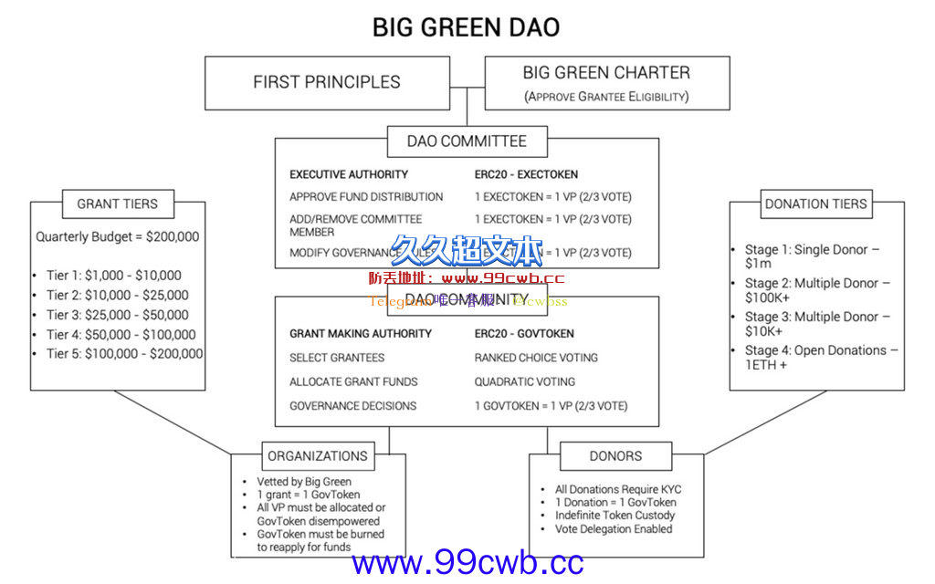 方舟女股神力挺马斯克亲弟 全美首个慈善DAO Big Green开放申请插图2