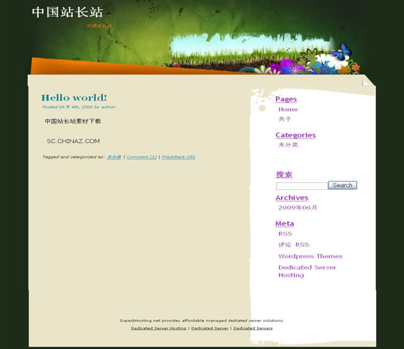 WordPress Earth模板插图