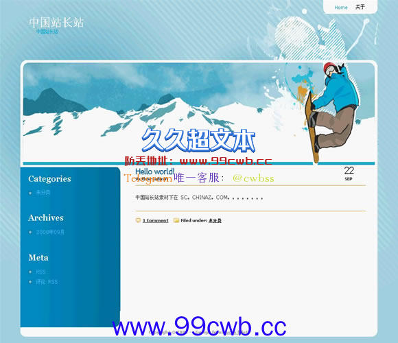 WordPress Snowboarder模板插图