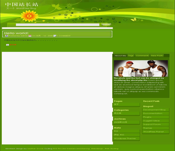 WordPress mintfresh模板插图