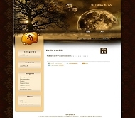 WordPress nutone模板