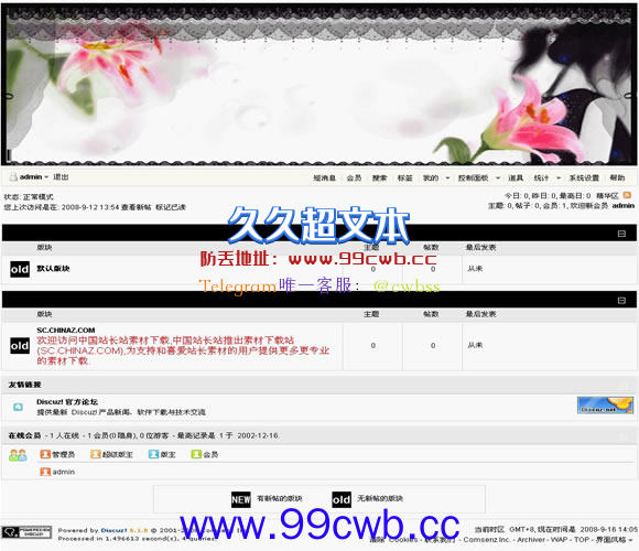 Discuz! 经典时尚模板插图