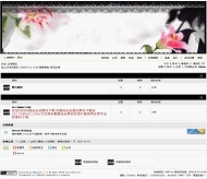 Discuz! 经典时尚模板