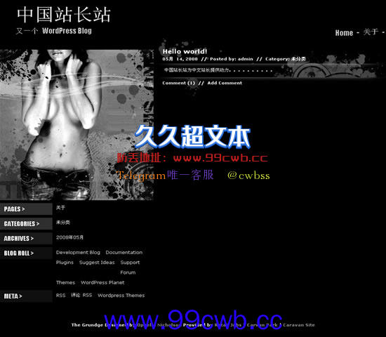 WordPress Grundge模板插图