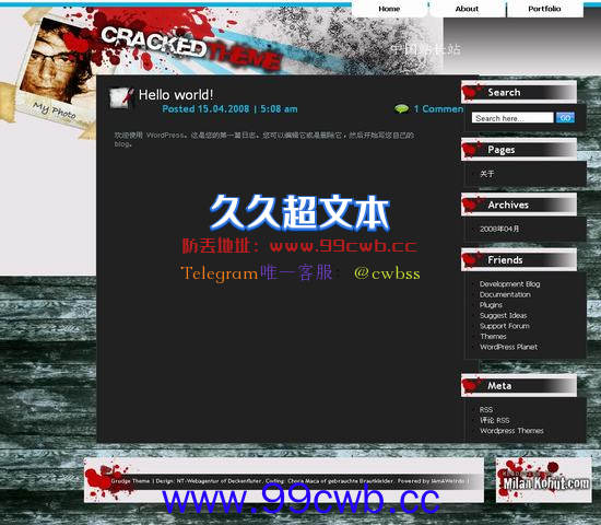 WordPress cracked模板插图