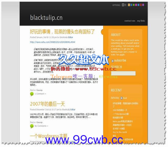 WordPress Skittlish年度佳18插图