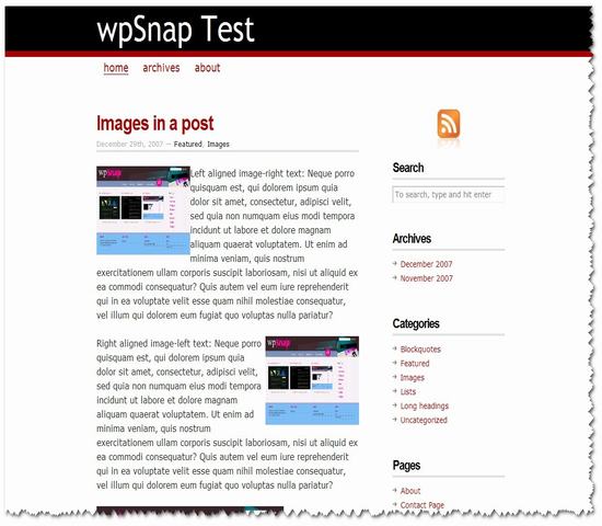 WordPress CopyBlogger年度佳13插图