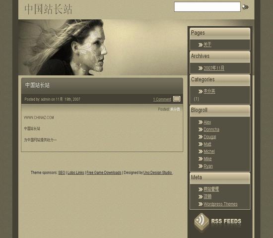 WordPress 主页风格插图