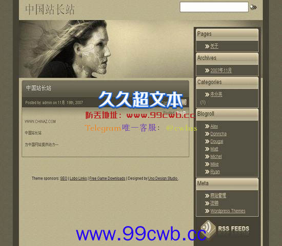 WordPress 主页风格插图