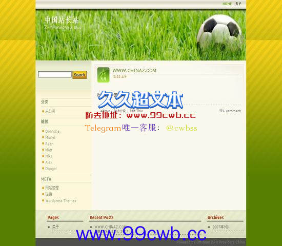 WordPress Soccer插图