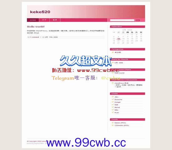 WordPress Blix_red插图