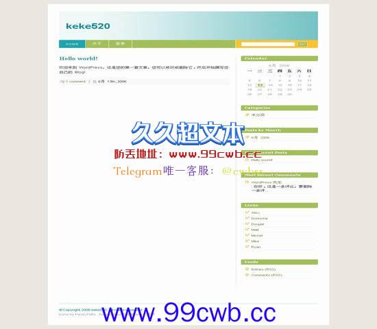 WordPress Blix_pro插图