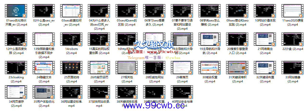 【SEO课程】最新SEO教学课程/搜索引擎算法优化/引蜘蛛/网站关键词优化插图