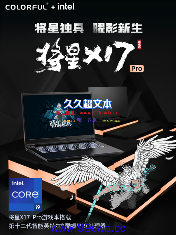 七彩虹将星X17 Pro游戏本首发：14核i9＋3070Ti 9999元！