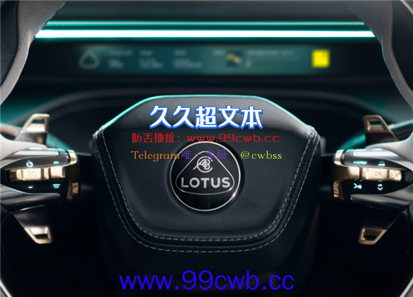 最大1000马力、2.95秒破百 路特斯首款SUV发布：竟与国产车“撞脸”