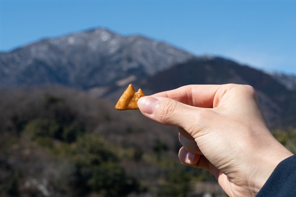 “不务正业” 日产推出车型零食：一罐包含23种经典车