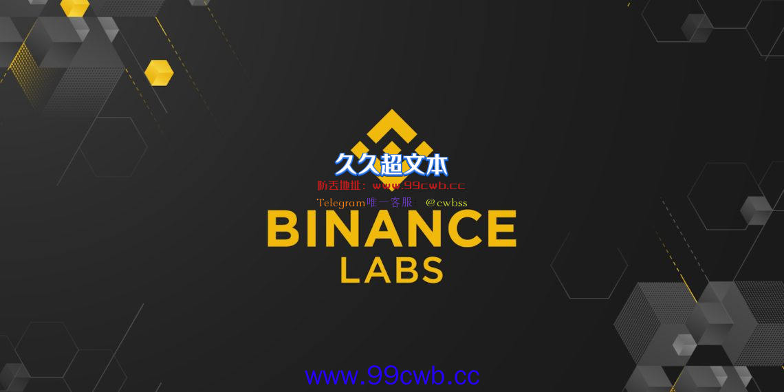 币安创投Binance Labs负责人将离职！近期两名高管流失插图