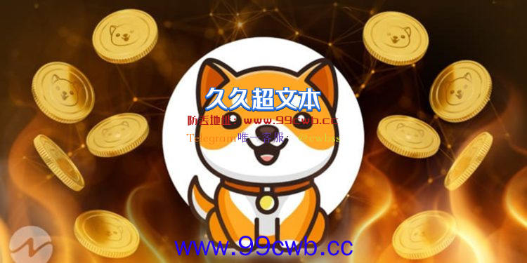 宝贝狗周年庆将烧毁50千兆BabyDoge！两周暴涨70%插图