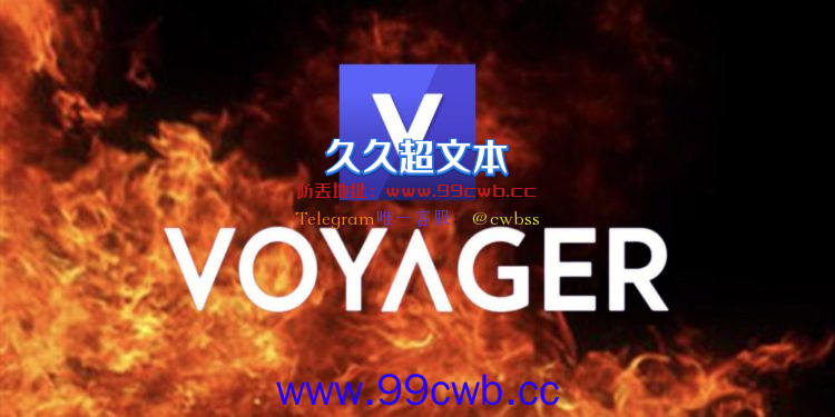 彭博：Voyager Digital破产 用户不应指望可拿回所有加密货币插图