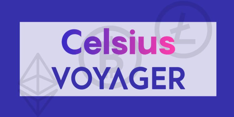 彭博：Voyager、Celsius暴雷已让美国两州监管机构扩大调查插图