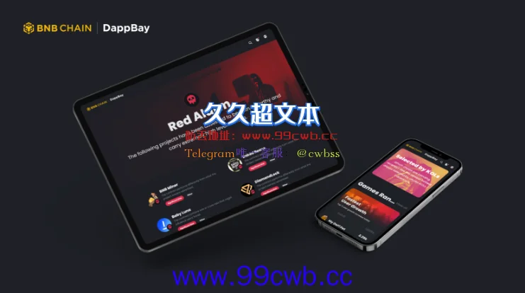 BNB链推出dapp聚合平台DappBay！方便寻找协议、提示风险插图