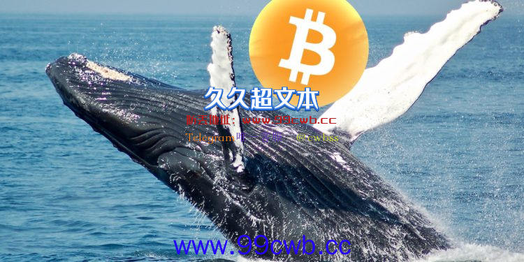 比特币第三大鲸鱼3天内清光132882枚BTC 获利1.06亿美元出场插图