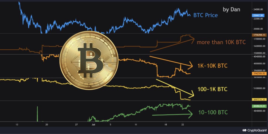 CryptoQuant：本次反弹由做市商推动 持万枚比特币巨鲸扫货插图