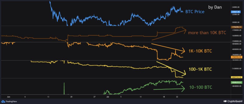 CryptoQuant：本次反弹由做市商推动 持万枚比特币巨鲸扫货插图1