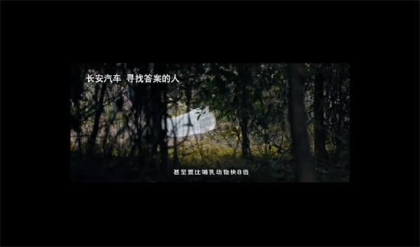 三个月时间不到 奥迪再曝文案抄袭：几乎完全照搬