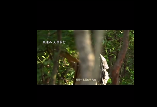 三个月时间不到 奥迪再曝文案抄袭：几乎完全照搬