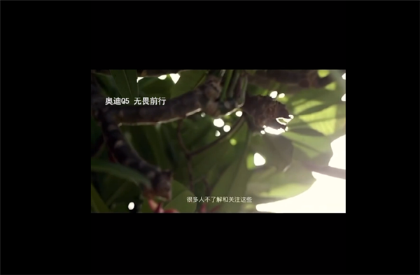三个月时间不到 奥迪再曝文案抄袭：几乎完全照搬