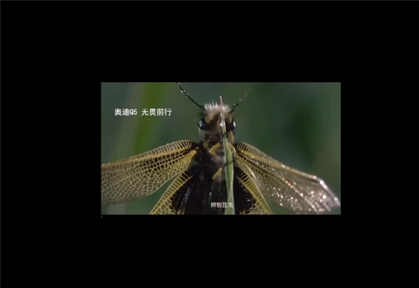 三个月时间不到 奥迪再曝文案抄袭：几乎完全照搬
