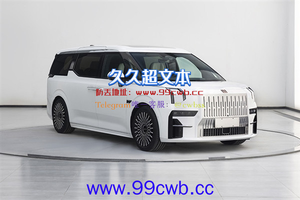 极氪纯电MPV 009申报：长超5米2、重达2.8吨