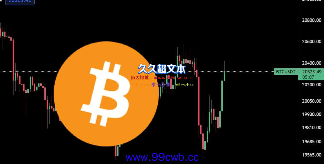 美股连3日收跌、比特币急挫再回2万美元！BTC登8月表现最差资产插图