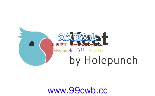 Tether联合Bifinex打造加密应用Holepunch 推出通讯软件Keet插图