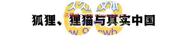 国产电视剧逆输出后火了！日本观众付费抢着看