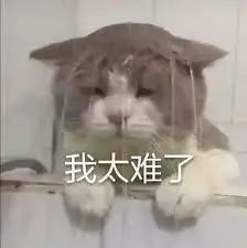 从200元跌到20元！贷款炒芯片的老哥 都亏麻了