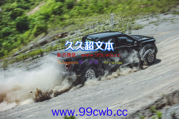 68.68万元也遭疯抢 福特F-150猛禽即将开启新大定