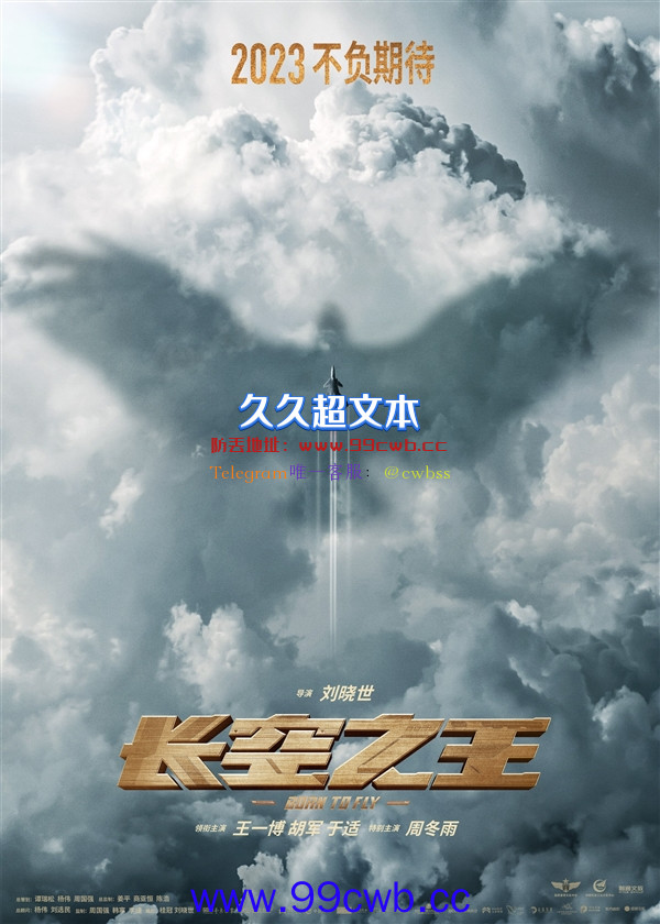 今年上映！国产航空大片《长空之王》新海报：尖端战机亮眼