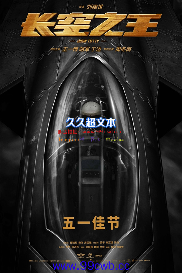 国产战机大片！电影《长空之王》定档：今年五一上映