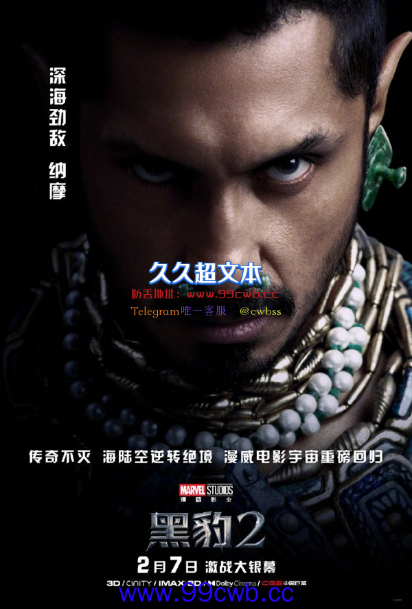 《黑豹2》中国角色海报发布：全员黑色皮肤 2月7日上映