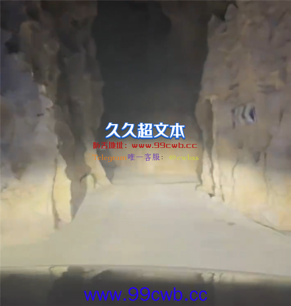 仅容一辆车通过的洞穴公路见过没？网友感慨：不敢进