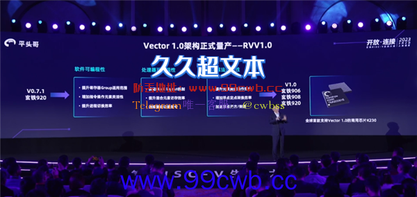 RISC-V首个稳定版本！Vector 1.0架构首款商用产品K230正式量产